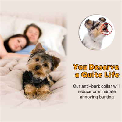 Automatic Anti Bark Barking Dog Shock Control Collar Device Large