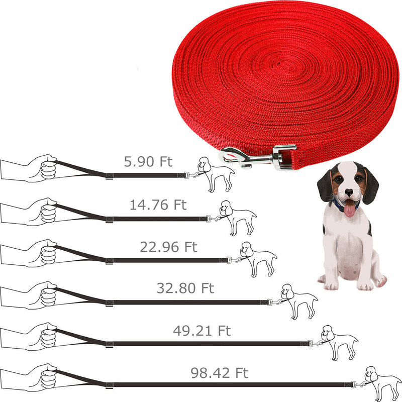 Dog Leash Long Obedience Recall Foot Feet Training Lead