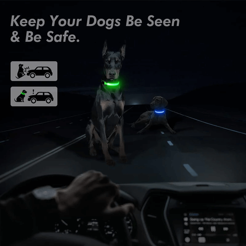 LED Adjustable Dog Collar Blinking Flashing Light Up Glow Pets Safety