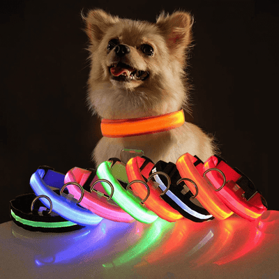 LED Adjustable Dog Collar Blinking Flashing Light Up Glow Pets Safety