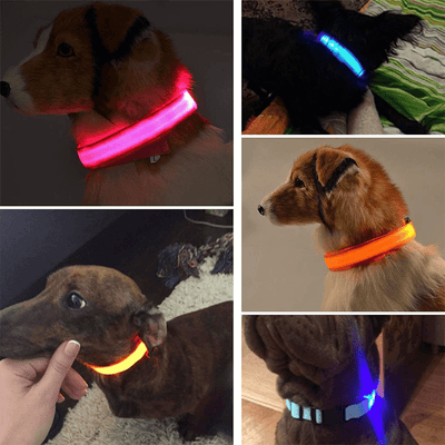 LED Adjustable Dog Collar Blinking Flashing Light Up Glow Pets Safety