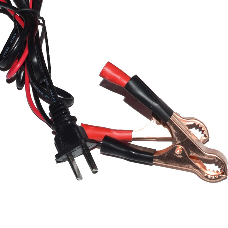 Maintenance Free Battery Charger 12V/24V 10A 140W Output For Electric