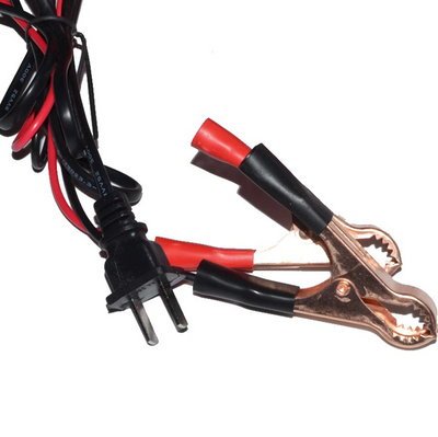 Maintenance Free Battery Charger 12V/24V 10A 140W Output For Electric
