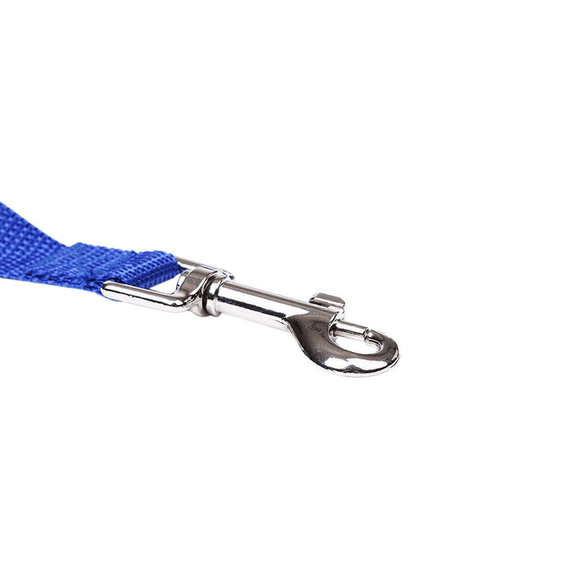 Dog Leash Long Obedience Recall Foot Feet Training Lead