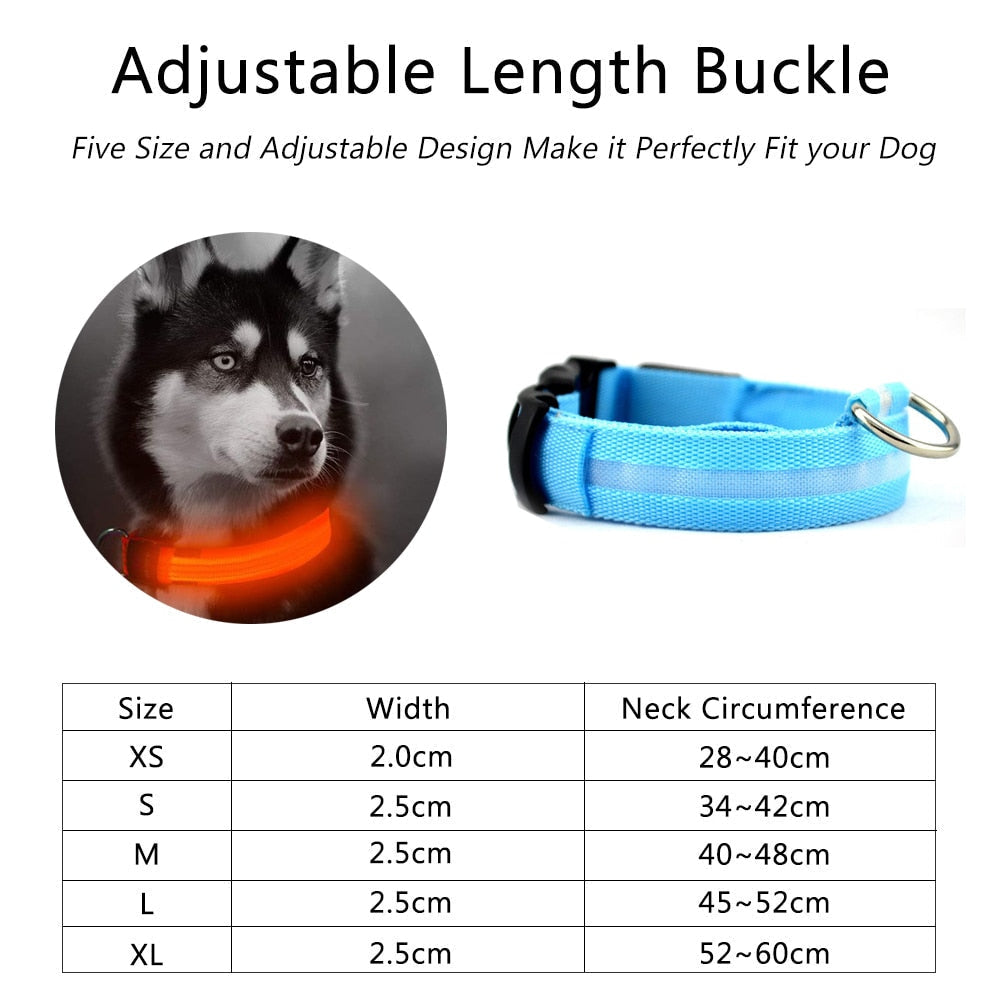 Adjustable length buckle collar
