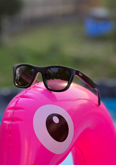 Eyewood ReInvented Acetate & Wood - Wayfarers