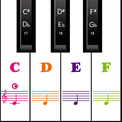 Piano Keyboard Stickers for Beginners, Reusable & Protective Key Labels, Piano Note Stickers Overlay for Full Size (Fullcolor)