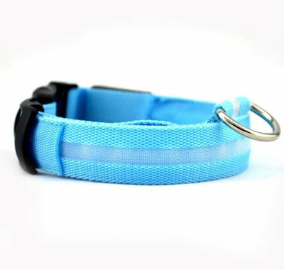 dog collar