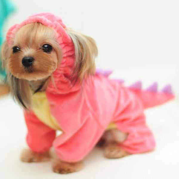 Amusing Various Themed Halloween Costumes for Dogs