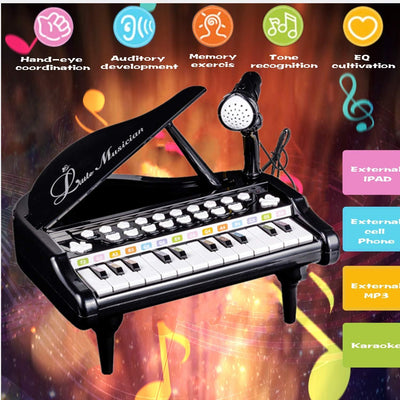Toy Piano for Toddler - Birthday Gift for 1 2 3 4 Year Old Girls and Boys, 24 Keys Multi-Functional Baby Piano Toy with Microphone