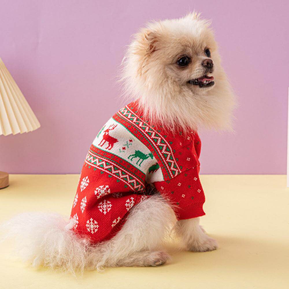 Festive Holiday Pet Sweater Cozy Knitted