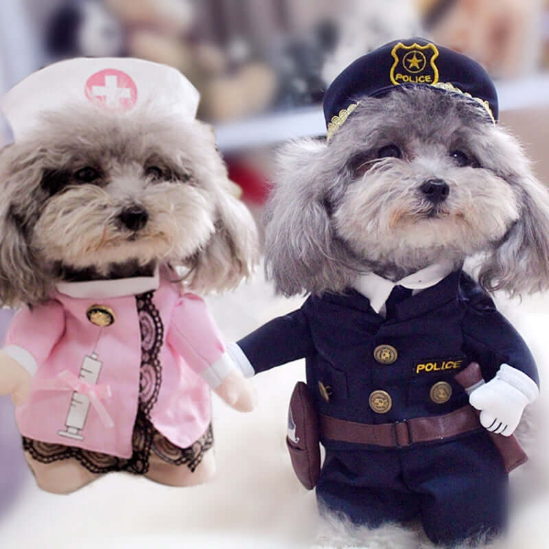 Amusing Various Themed Halloween Costumes for Dogs