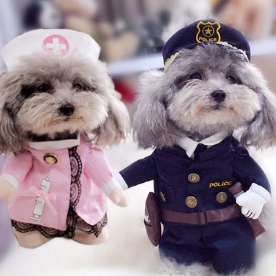 Amusing Various Themed Halloween Costumes for Dogs