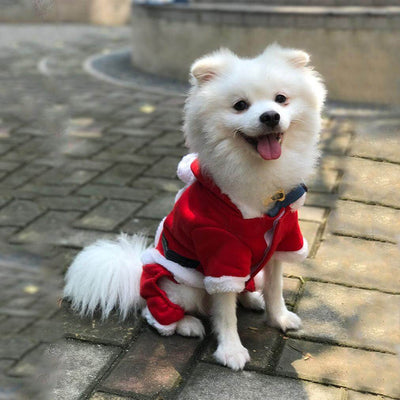 Cozy Christmas Pet Sweater Warmth And Style