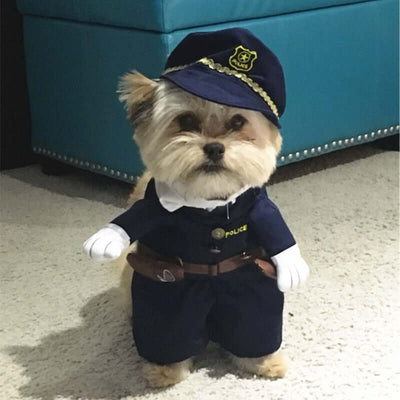 Amusing Various Themed Halloween Costumes for Dogs