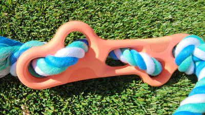 Rubber Bone Dog Chew Toy with Tug Rope -- Great for Active Dogs on grass