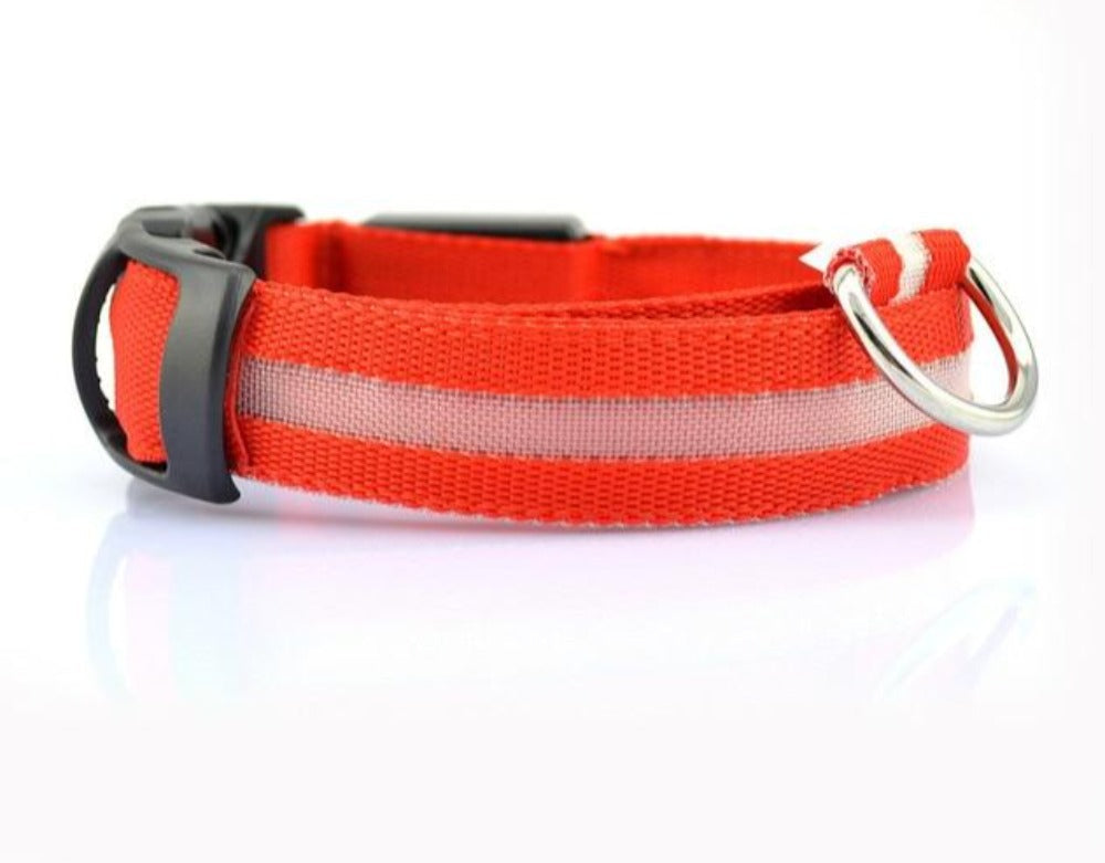 Fancy dog collar