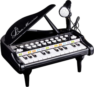 Toy Piano for Toddler - Birthday Gift for 1 2 3 4 Year Old Girls and Boys, 24 Keys Multi-Functional Baby Piano Toy with Microphone
