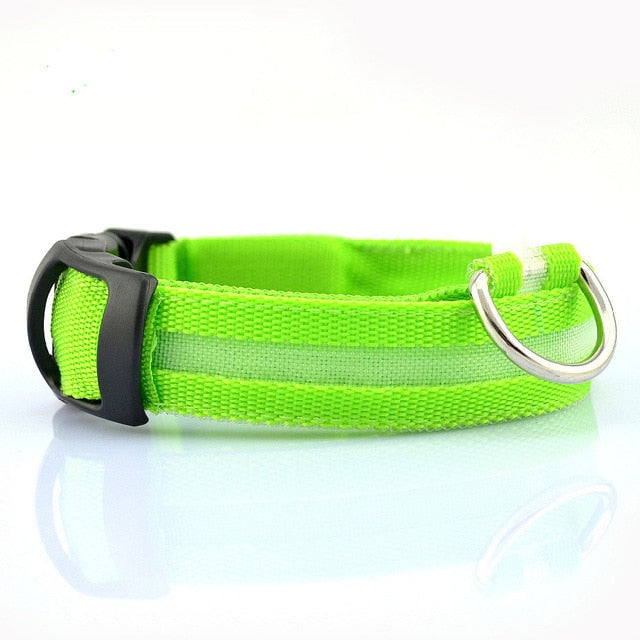 Adjustable dog collar