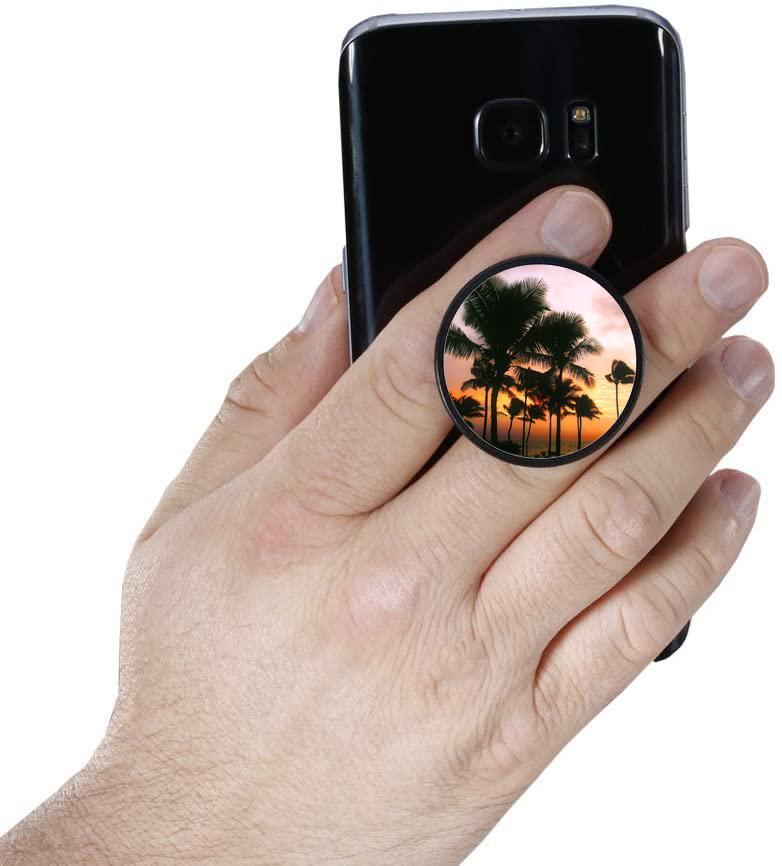 Palms Nuckees