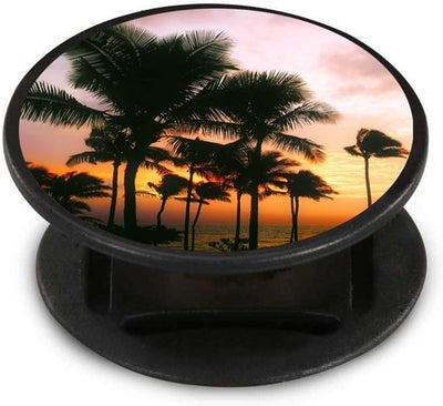 Palms Nuckees