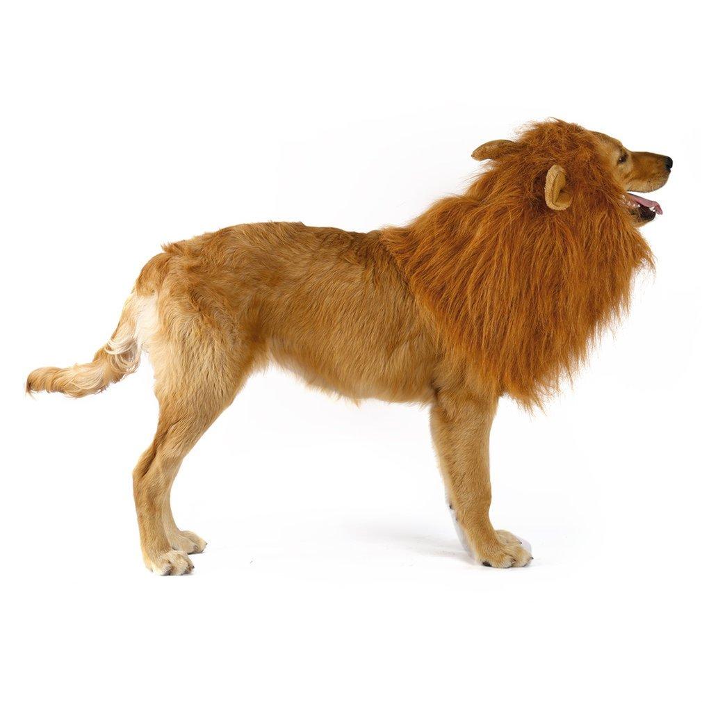 Lion Theme Dog Wig on a dog, featuring light brown faux fur with ears, perfect for Halloween costumes.