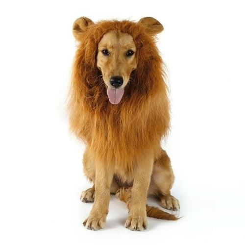 Lion Theme Dog Wig on a playful golden retriever, perfect for Halloween or costume parties.